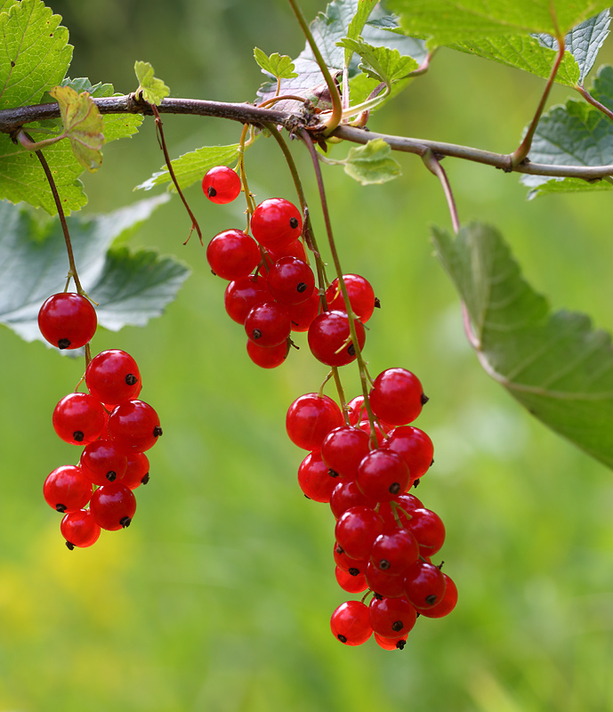 bild_057.jpg