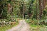IMG_0104_54to10_sh
