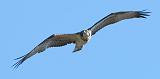IMG_0786_23to10_sh