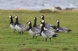 IMG_0880_20to10_sh