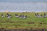 IMG_0880_54to10_sh