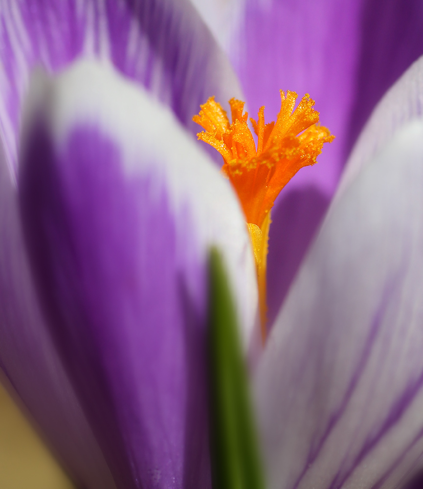 7R1A6832.jpg