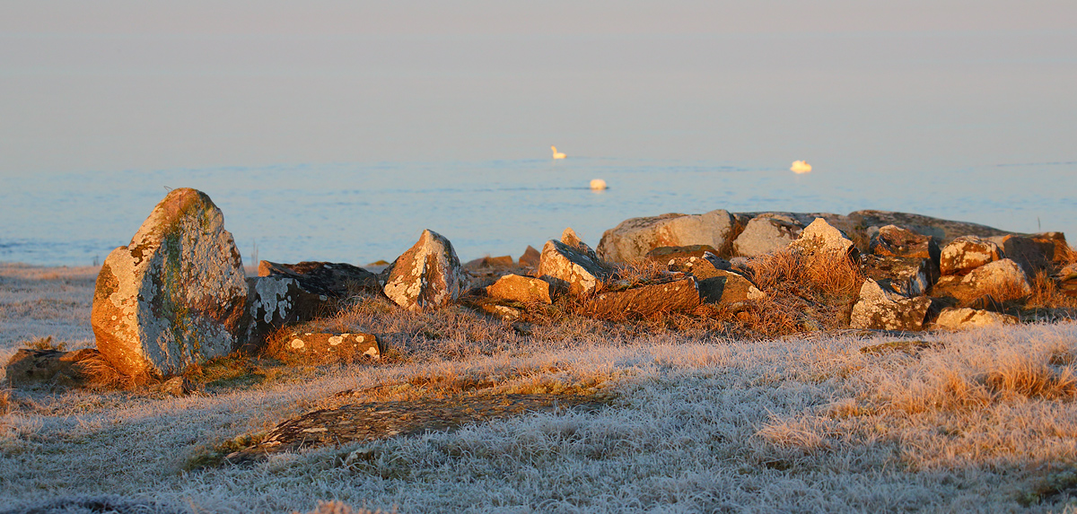 frostmorgon1_april14.jpg