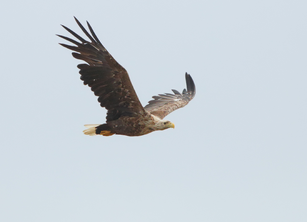 IMG_9724.jpg