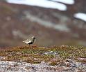 IMG_1170
