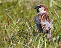 IMG_2635
