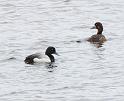 IMG_8770