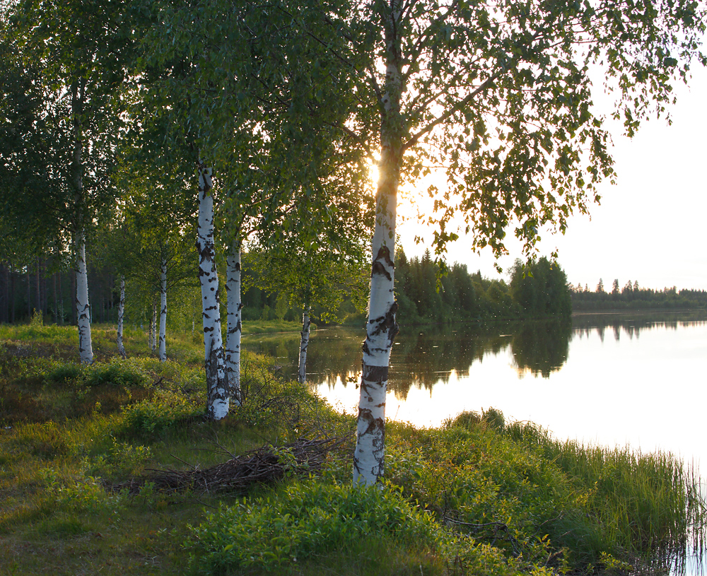 tsb_D047.jpg