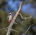 IMG_1383