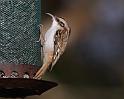 IMG_1416