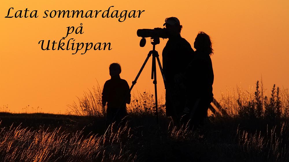 bild001.jpg