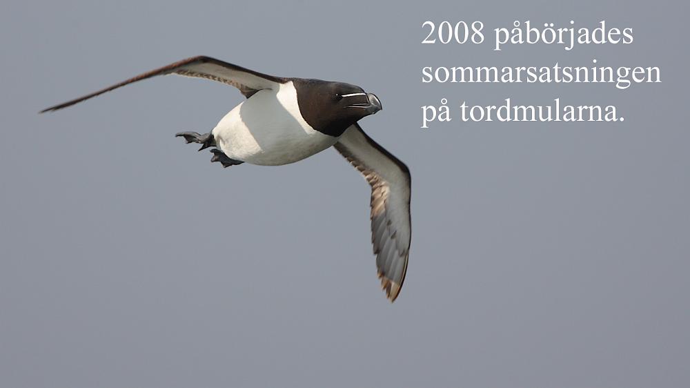 bild056.jpg