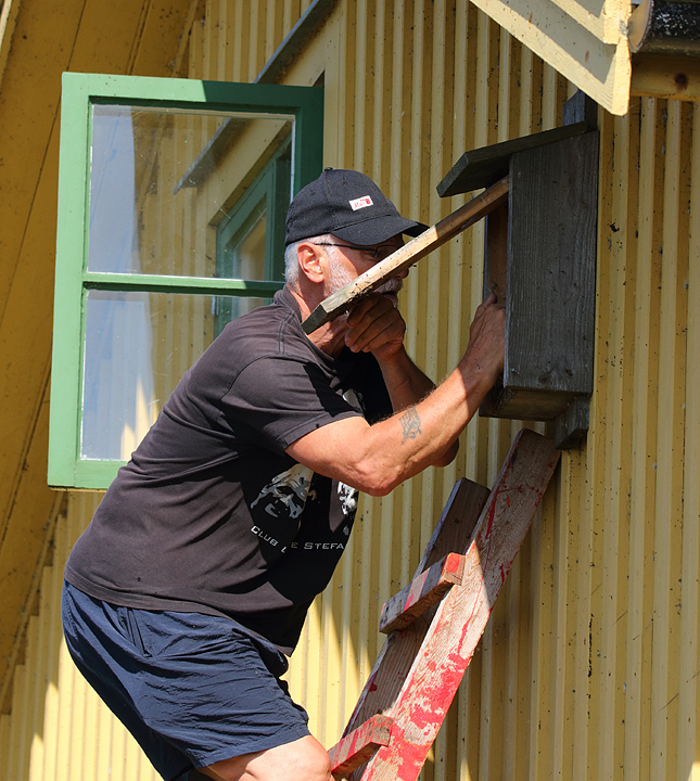 bild069.jpg