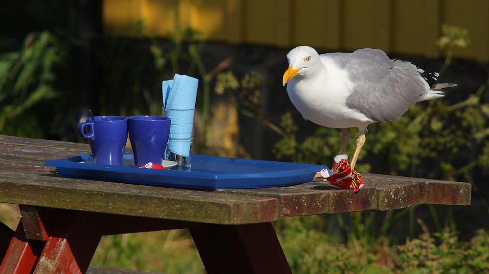 bild122.jpg