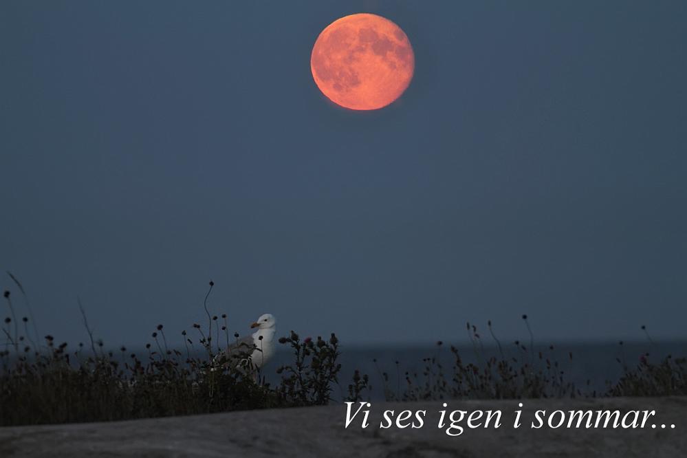 bild153.jpg