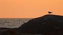 bild042