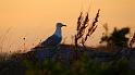 bild042_2