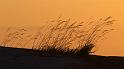 bild045