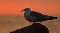 bild046