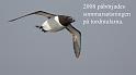 bild056