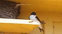 bild072_3