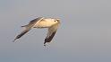 bild134_3