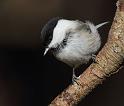 IMG_1677