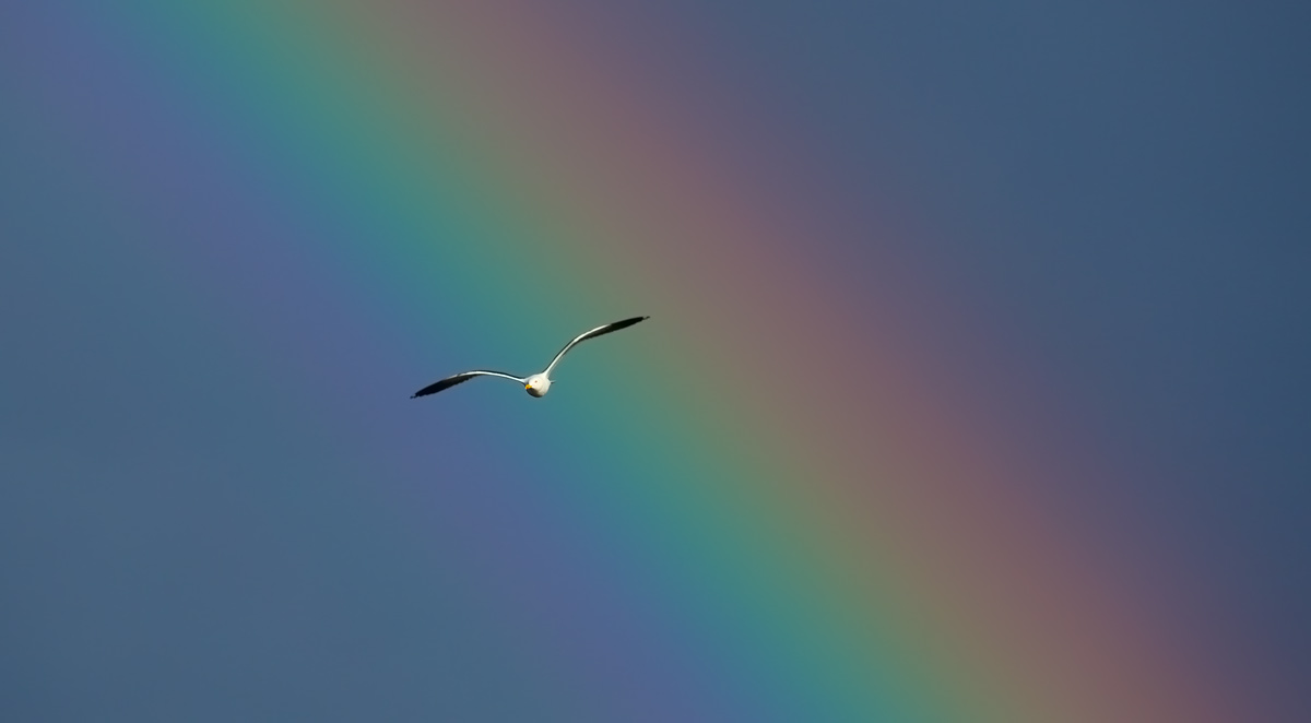 bild034.jpg