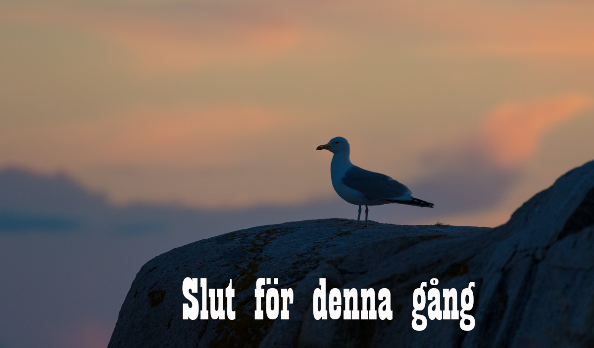 bild047.jpg