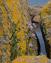 bild004_2