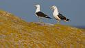 bild020