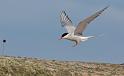 bild024