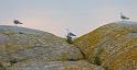 bild035_2