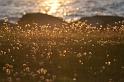 bild040