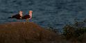 bild042