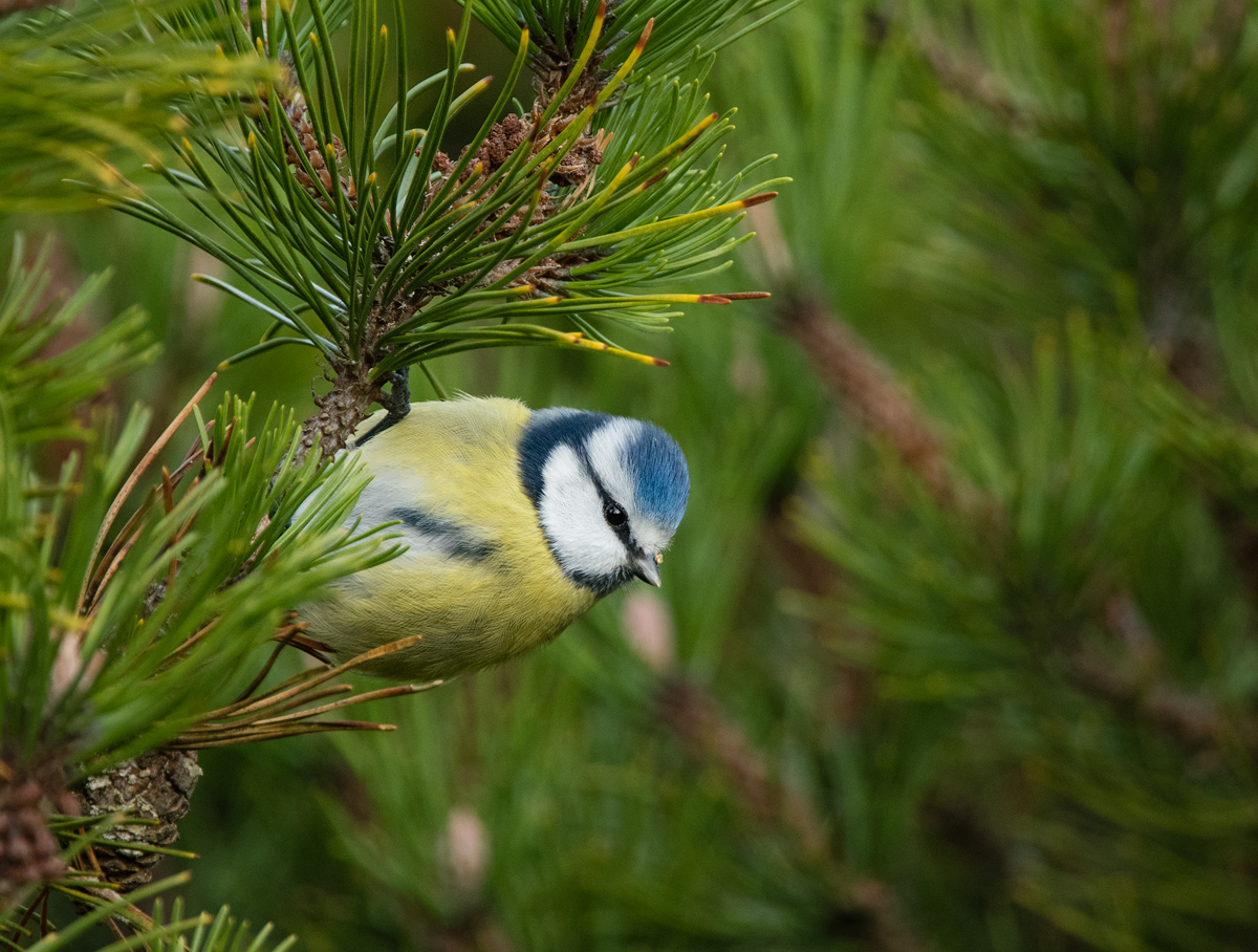 _DSC2870.jpg