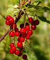 bild031