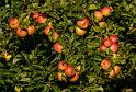 bild044_2